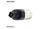 IP-камера корпусная SNB-6004P