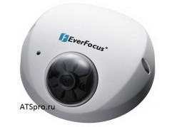 Купольная IP-камера EverFocus EDN1220