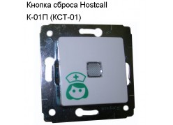   Hostcall  -01 (-01)
