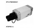Видеокамера сетевая (IP камера) STC-IPMX3093A/1